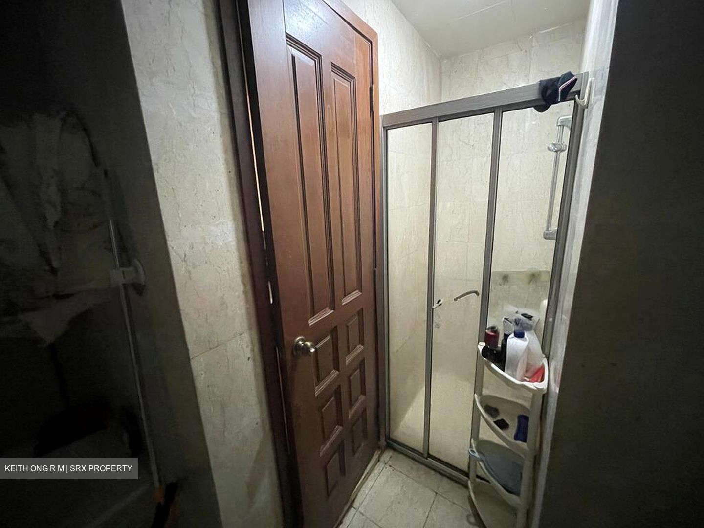 Carissa Park Condominium (D17), Condominium #518705381